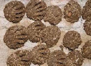 cow dung cakes
