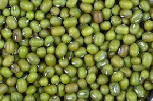 Whole Green Moong Beans