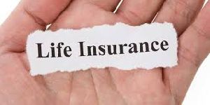 Life Insurance Services
