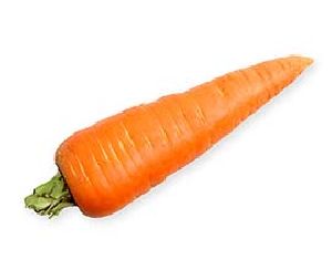 carrot