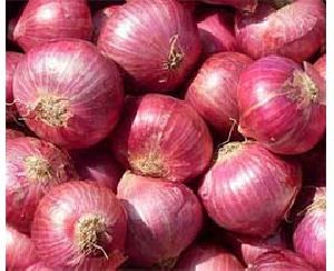 onion