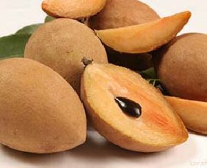 Sapodilla( Chiku)