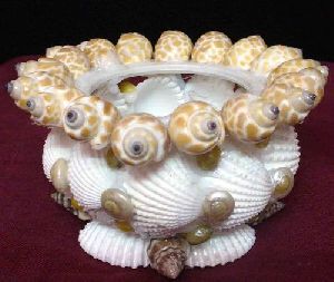 Shell Handicrafts