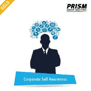 Corporate Self Awareness - Gold