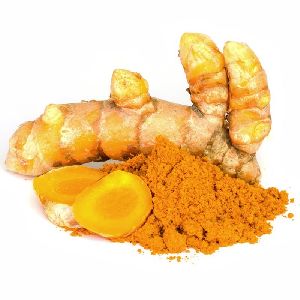 turmeric powder