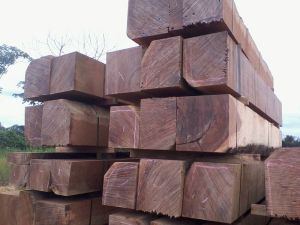 Sawn Timber, Brand Name : tropimac, Grade : 1st grade