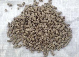 Pharmaceutical Excipients