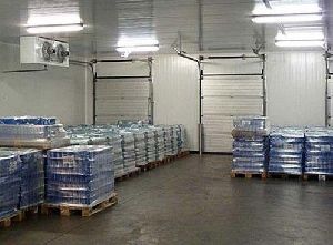 Commercial Seed Cold Storage Rental Services