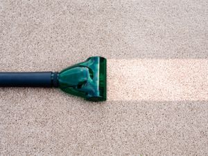 carpet cleaning services