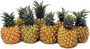 Fresh Pineapple