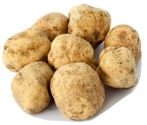 White Truffle