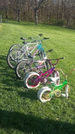5 park dually bikes