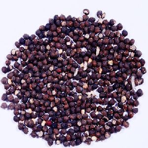 Bombax Ceiba Seeds