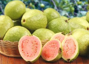 fresh guava