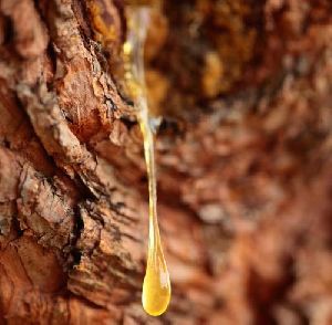 Natural Boswellia Serrata Gum