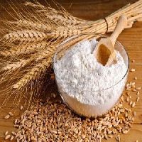 20 Kg Wheat Flour