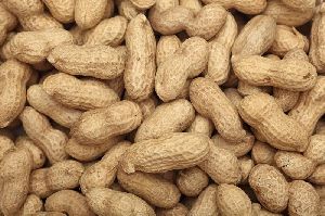 Shelled Peanuts