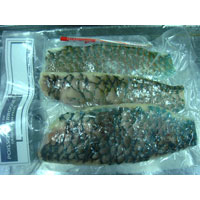 Parrot Fish Fillets