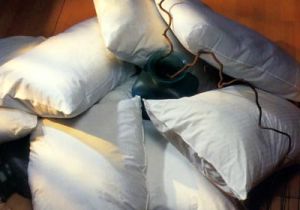 Cushion & Cushion Covers