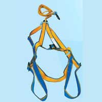 Safety Harness (Class A)