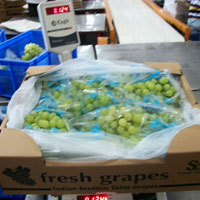 fresh grapes