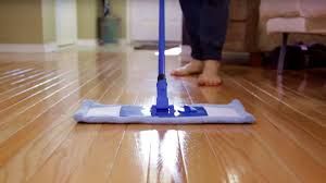 floor cleaner