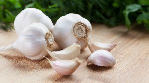 fresh garlic