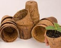 Coir Pot