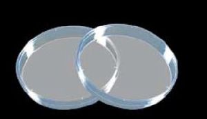 Plastic Petri Plate