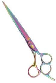 Salon & Beauty Equipment