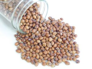 Cowpea Seed