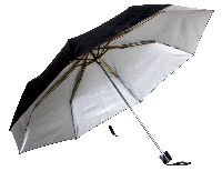 silver umbrella
