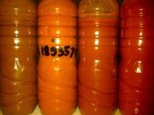 crude palm oil,  Warranty : 24 MONTHS
