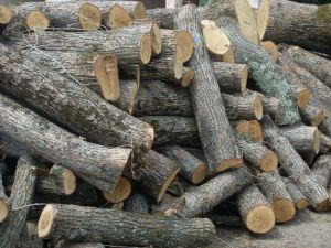Firewood Logs