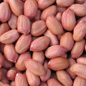 Peanut Kernels