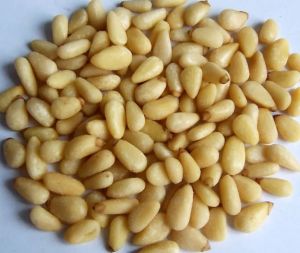 Pine Nut Kernels