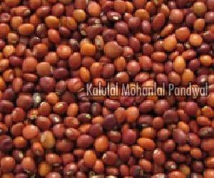 Taramira Seeds Buy Taramira Seeds In Udaipur Rajasthan India From Kalulal Mohanlal Pandwal