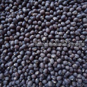 Taramira Seeds Buy Taramira Seeds In Udaipur Rajasthan India From Kalulal Mohanlal Pandwal