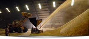 icumsa 45 sugar,  Speciality : Sweet Taste, Hygienically Packed