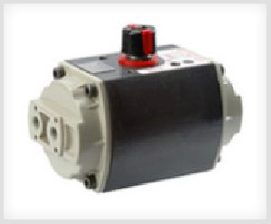 pneumatic actuator