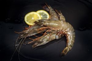 black tiger prawns
