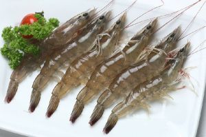 Vannamei Prawns