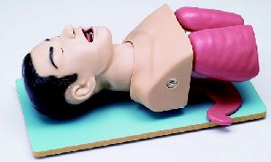 Airway Management Model