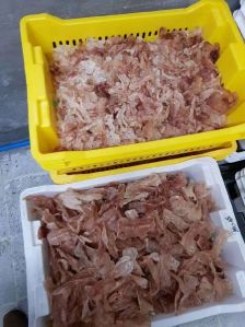 Dry Ling Fish Maw Dry Ling Fish Maw