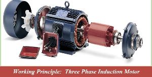 Three Phase Induction Motor