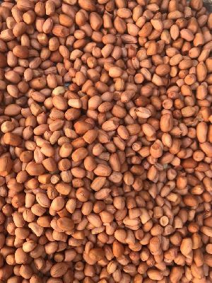 Raw Peanuts kernel