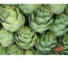 Fresh Artichoke