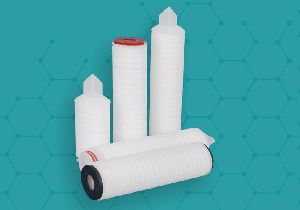 PTFE Micropore Pleated Filter
