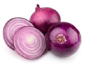 fresh red onion