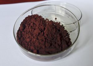 Natural Astaxanthin Powder, Certification : SGS, Grade : Food